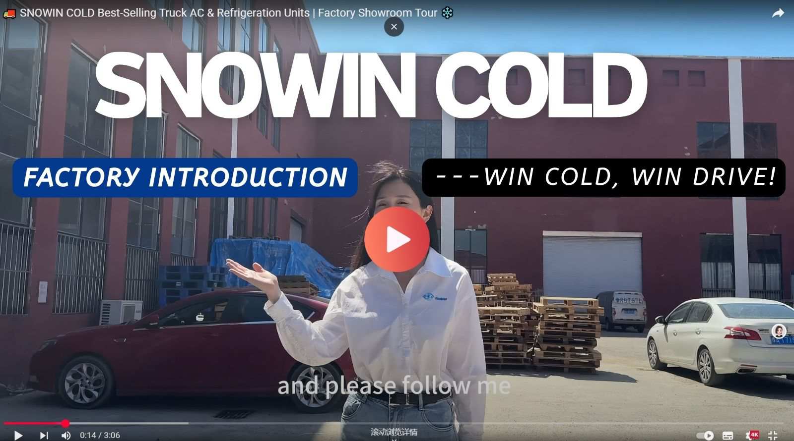 snowin cold introduction (2)