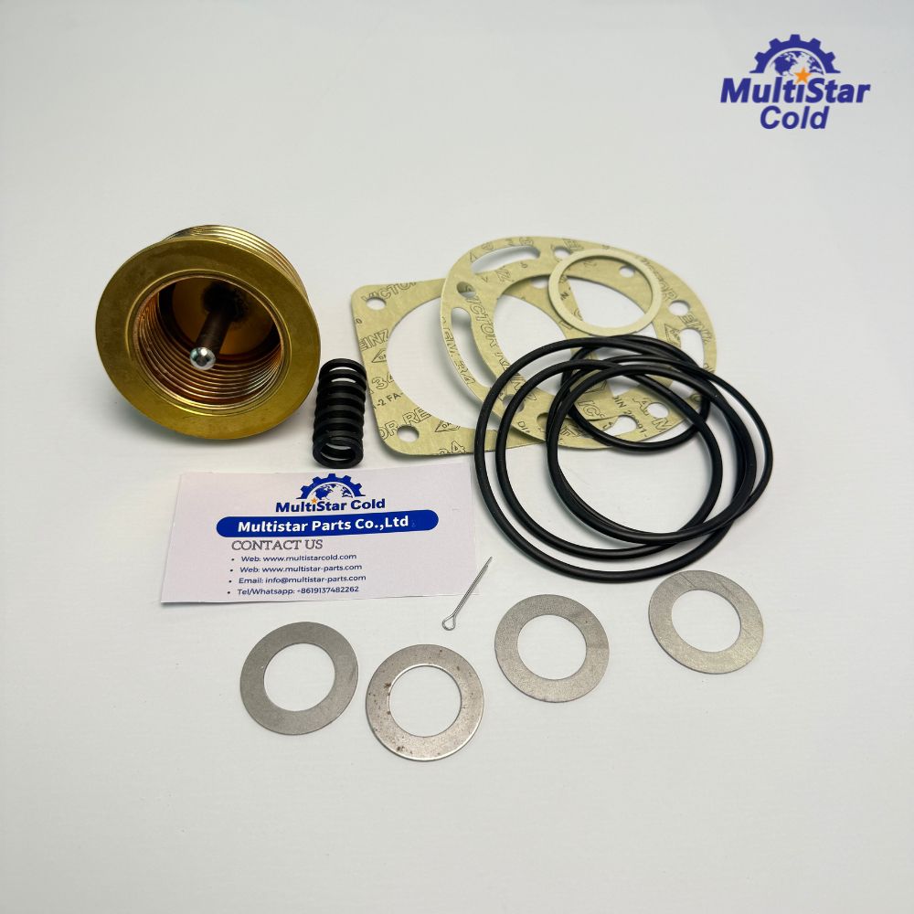 60-0298 Thermo King Repair Kit – Startup Valve Kit for Spectrum SB TS SLX SMX