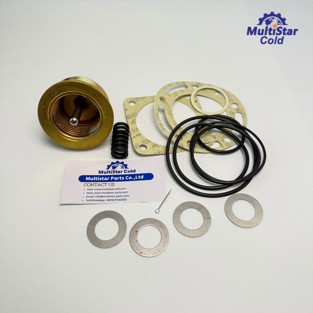 60-0298 Thermo King Repair Kit – Startup Valve Kit for Spectrum SB TS SLX SMX
