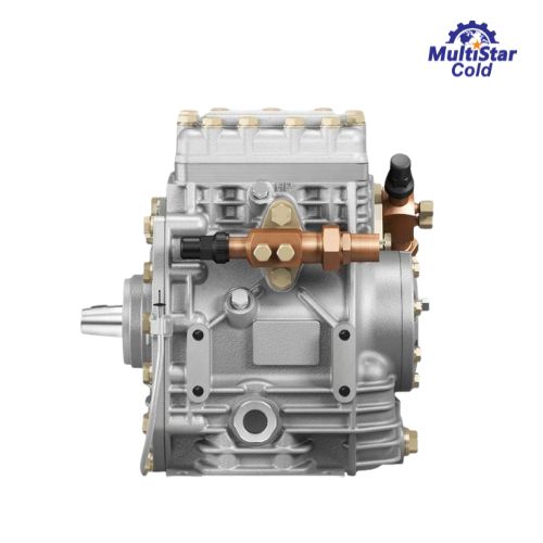 Bock FK30325 TK Compressor