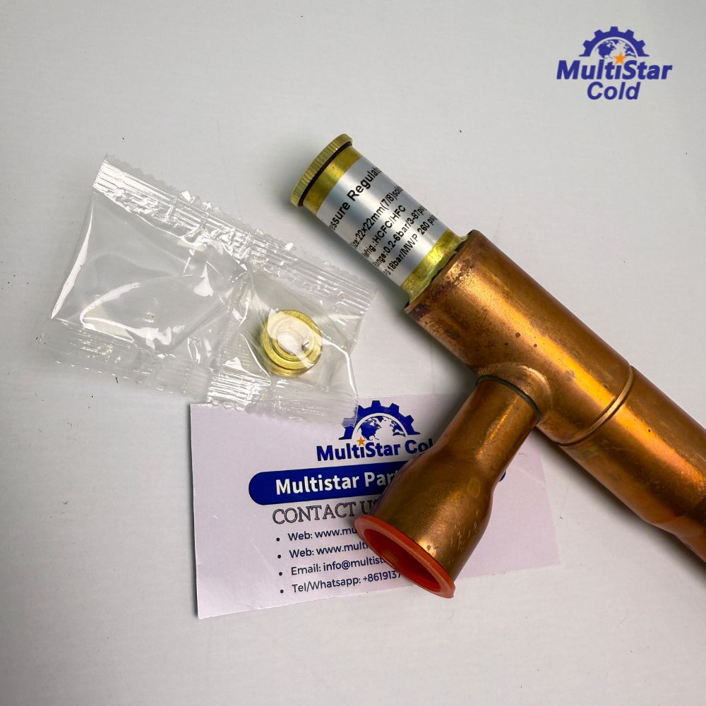 Starting Valve 14-60014-09 for Carrier Supra Xarios