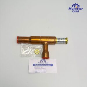 Starting Valve 14-60014-09 for Carrier Supra Xarios